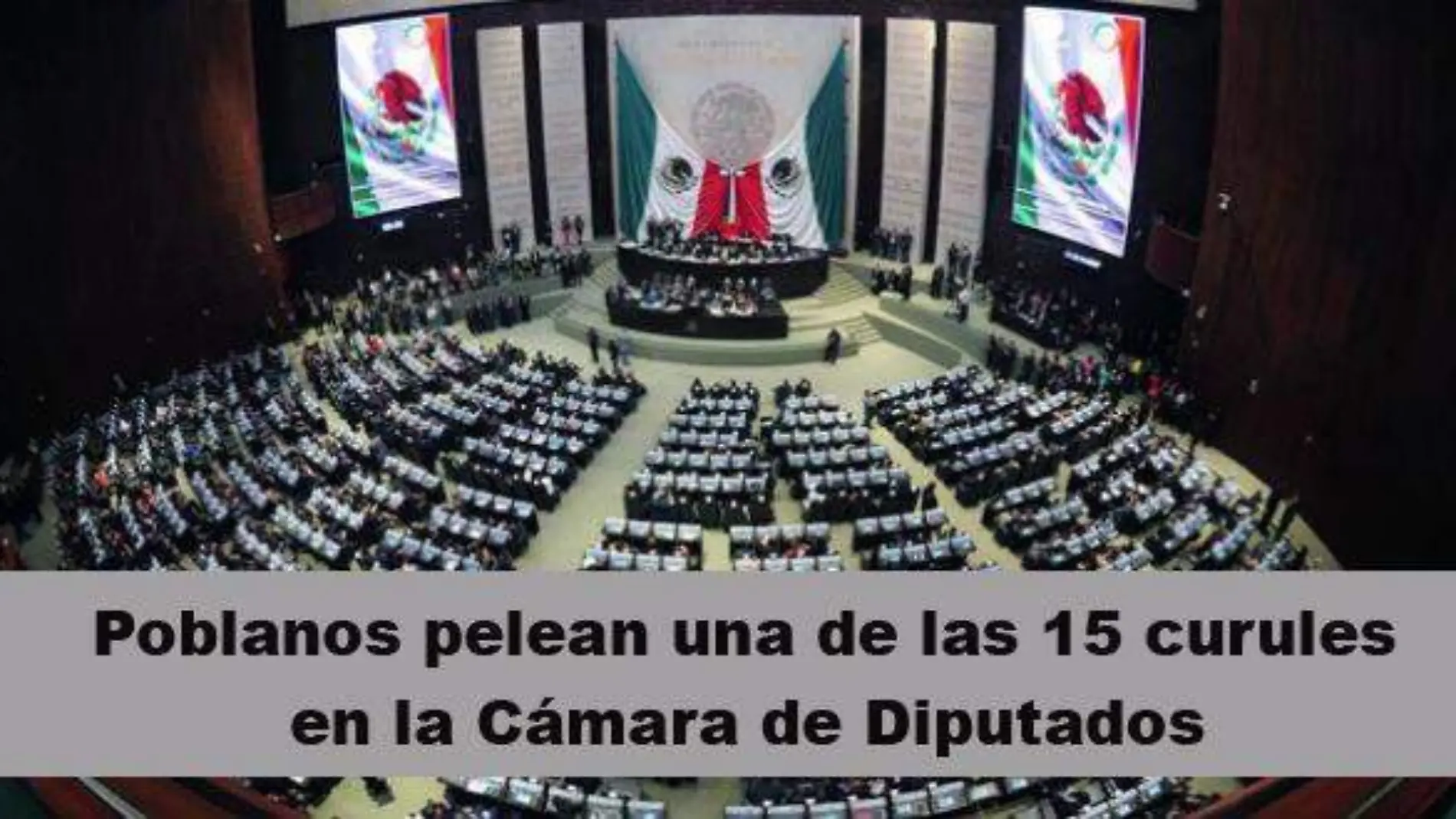 camara de diputados